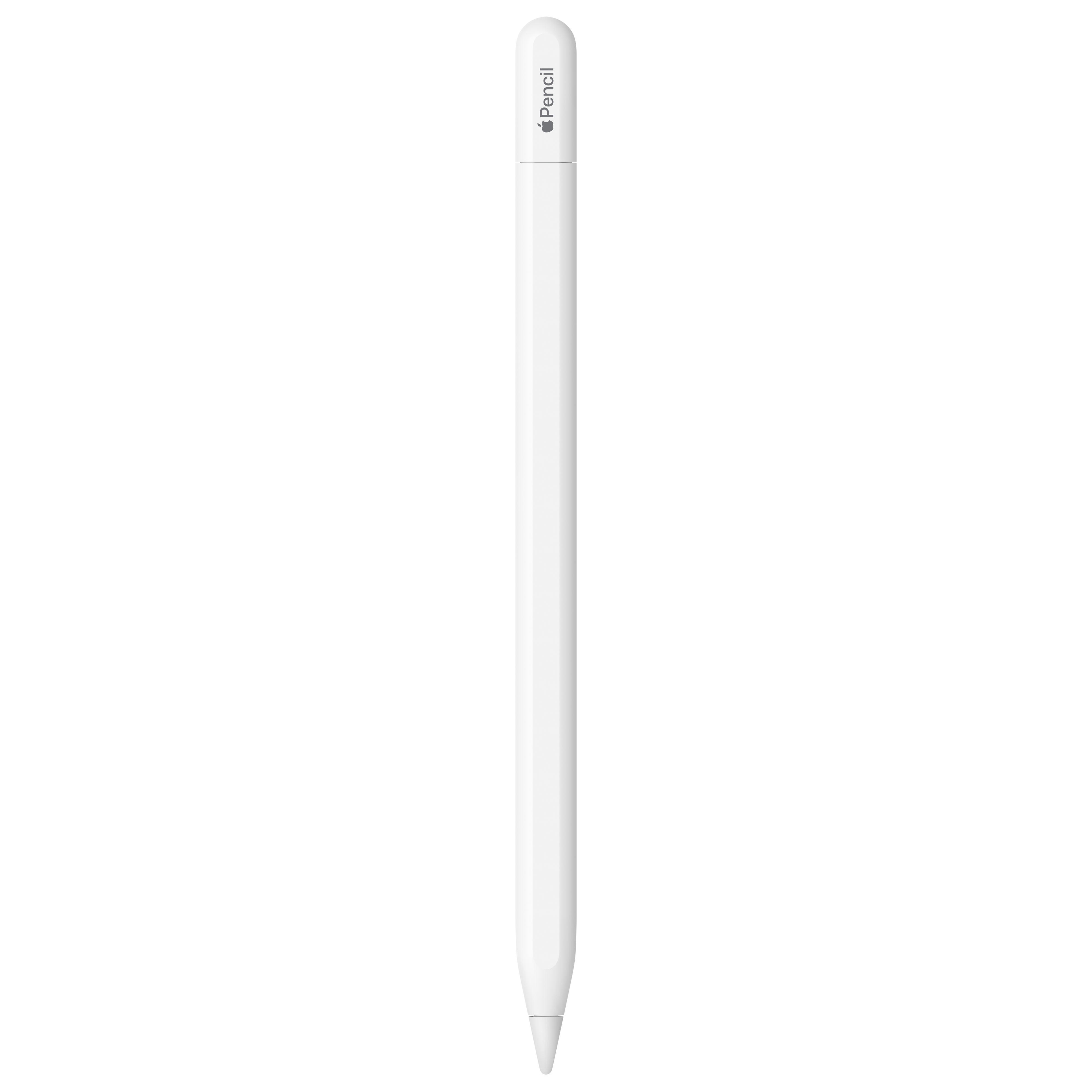 File:Apple Pencil 1 2019-01-27 (cropped).jpg - Wikipedia