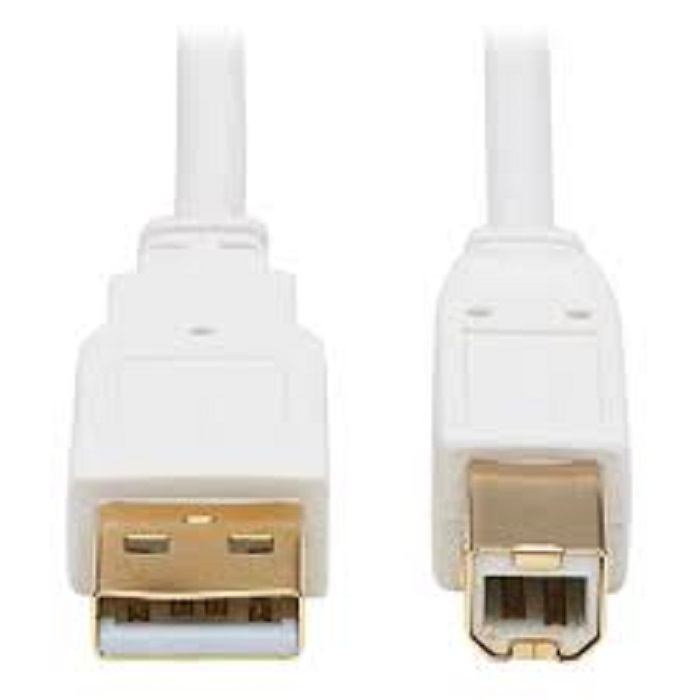 Tripp Lite Safe-IT USB-A to USB-B Cable (M/M) 10Ft-  For printers, scanners, hubs, laptops, computers. Antibacterial cable