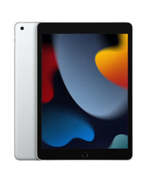10.2-inch iPad Wi-Fi + Cellular 256GB - Silver (September 2021)