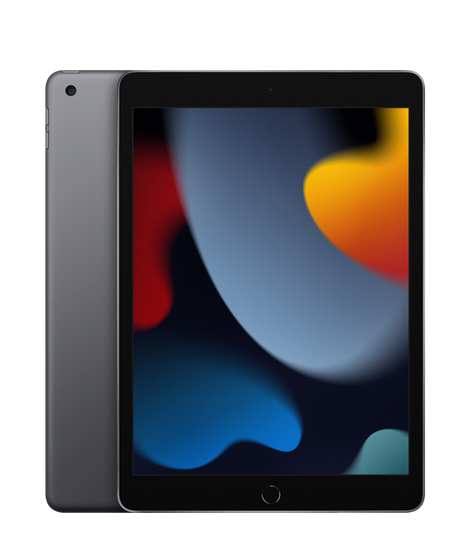 10.2-inch iPad Wi-Fi + Cellular 256GB - Space Gray (September 2021) 